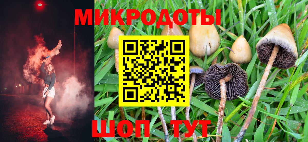 Галлюциногенные грибы Psilocybine cubensis  Вход с VPN  Электрогорск  Галлюциногенные грибы мицелий 