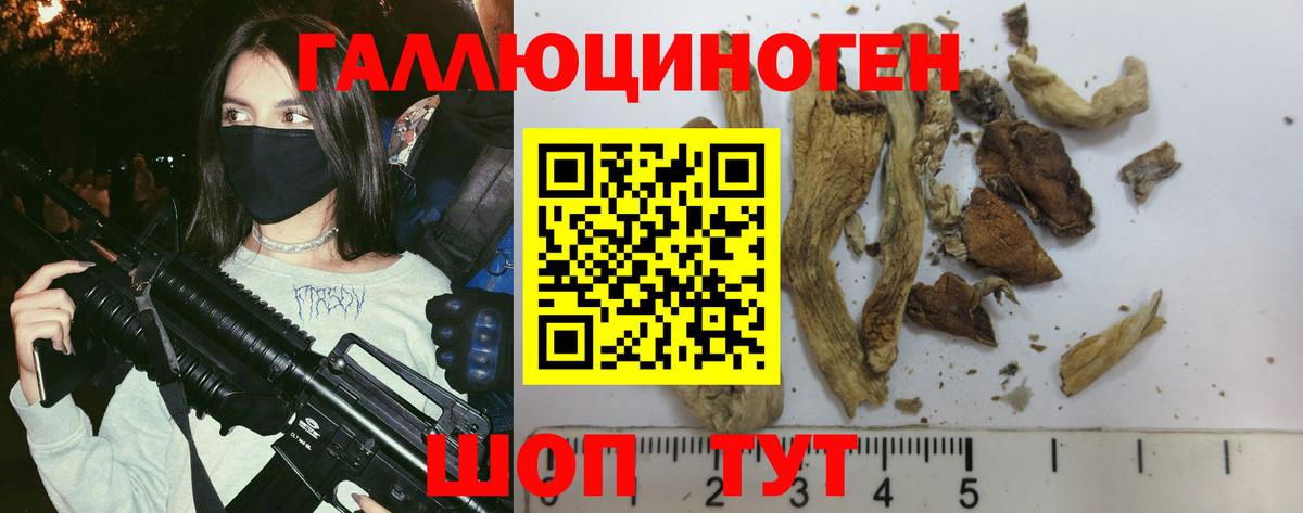 Псилоцибиновые грибы мицелий Электрогорск